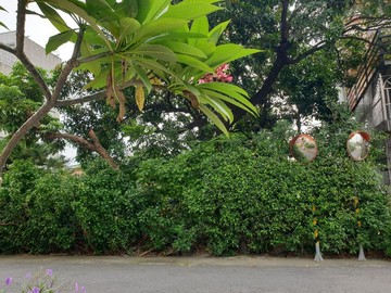橋頭白埔園區＆橋科.近捷運.學區建地｜高雄市橋頭區興樹段