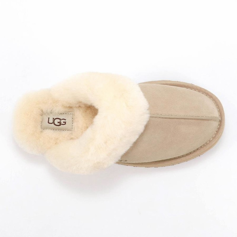 UGG アグ 新品 ディスケット スリッパ（UGG アグ ディスケット
