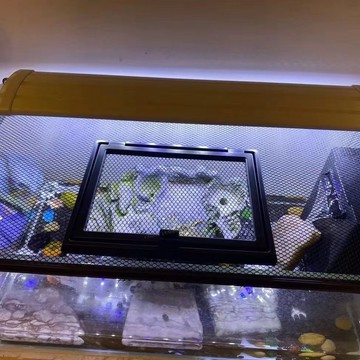 【熱銷商品】磁吸外開窗專用魚缸上蓋投喂專用單獨小窗口方便開關把手小窗口