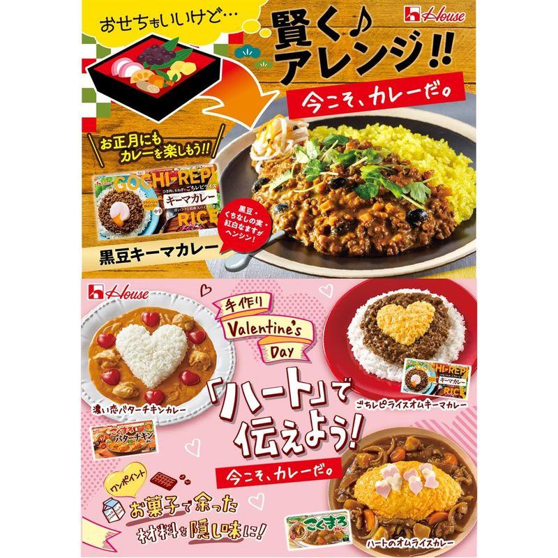 ハウスごちレピライスキーマカレー 145G ×10個