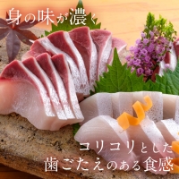 宮崎産 新海屋 鰤屋金太郎 宮崎ゴールドカンパチ フィレ 1.1kg～1.3kg 1匹 ２枚　冷蔵　C315_1