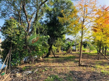 地中海民宿旁千坪農地-免填土,出價可談｜宜蘭縣冬山鄉廣安段