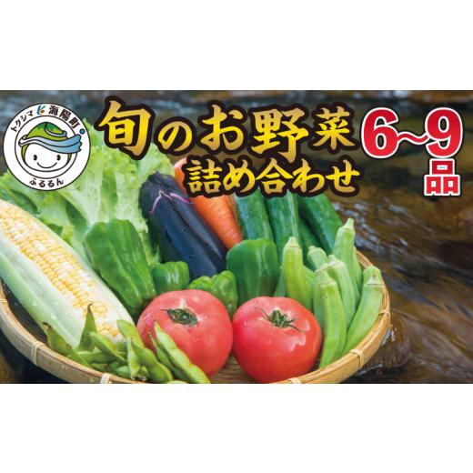 ふるさと納税 徳島県 海陽町 阿波の国海陽町 旬のお野菜詰め合わせセット６‐９品 野菜 徳島県 海陽町産 野菜セット 詰め合わせ 2-3名様以上 向け 季節の野菜 …