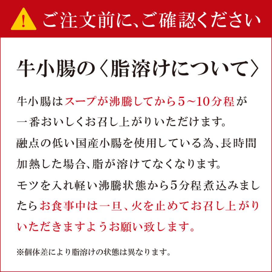 博多若杉 もつ鍋 お試しセット 2人前