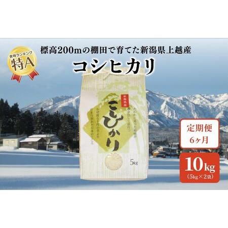 ふるさと納税 6ヶ月連続定期便発送｜新潟県上越市中郷産 従来種コシヒカリ精米10kg（5kg×2袋）×全6回 新潟県上越市