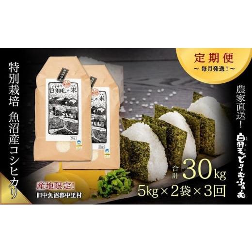 ふるさと納税 新潟県 十日町市 ≪令和5年産≫農家直送！魚沼産コシヒカリ特別栽培「白羽毛の米」精米10kg(5kg×2袋)×3回 計30k…