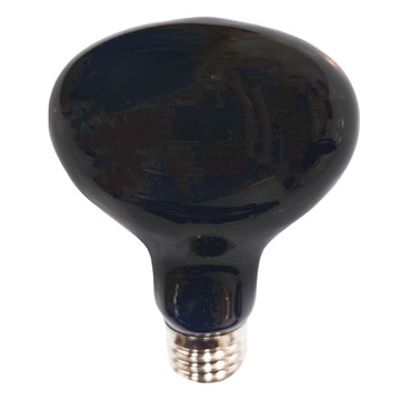 ISTA 伊士達 爬蟲夾燈 爬蟲聚熱燈泡 適用於爬蟲缸或海陸缸 E26燈泡  月光燈泡 100w  1個