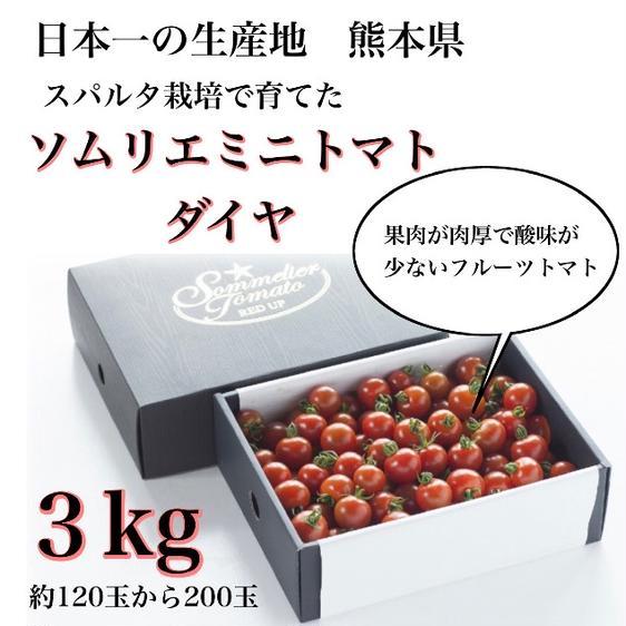 販売期間2023 12 18まで 野菜 トマト ソムリエミニトマト　ダイヤ3kg 産地直送