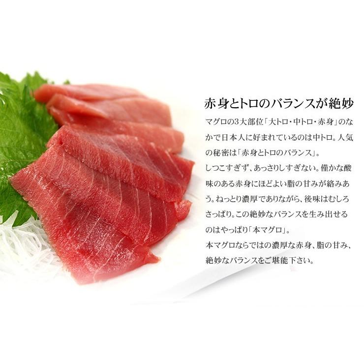 本マグロ中トロ 1kg 送料無料 解凍レシピ付 刺身 海鮮 食べ物 メガ盛り《pbt-bf14》〈bf1〉yd9[[本鮪中トロセット1kg]