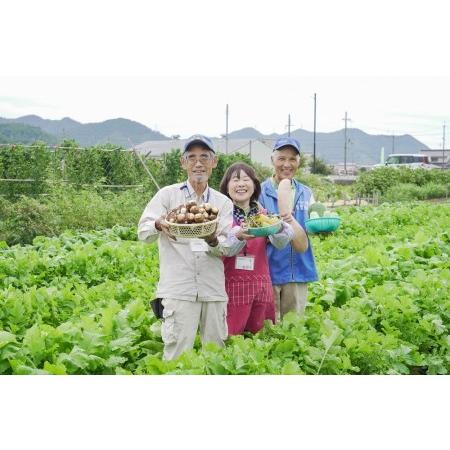 ふるさと納税 17-13農産物直売所「北はりま旬菜館」からお届け！  兵庫県西脇市