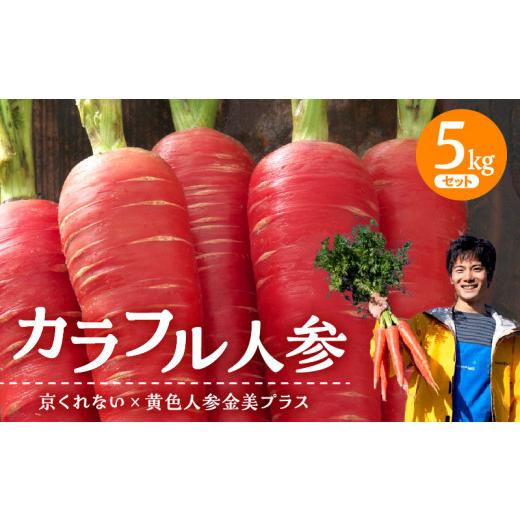 ふるさと納税 福岡県 久留米市 カラフル人参５kgセット