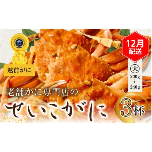 ふるさと納税 福井県 福井市 蟹好きにおすすめ！老舗カニ専門店の「越前セイコガニ 3杯（200〜240g）」【 セイコガニ せいこがに 茹で 蟹 …