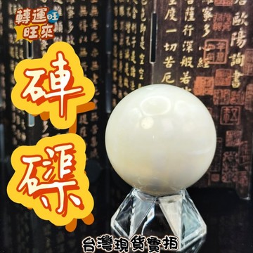 【台灣現貨】大顆 Tridacnidae 黃金 硨磲 天然 車渠 硨渠 車局 球 深海貝殼 擺件 轉運 開運 招財 好運