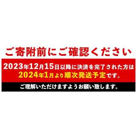 ふるさと納税 おいどん市場セレクト　旬の野菜・果物セット_keizai-913 鹿児島県長島町