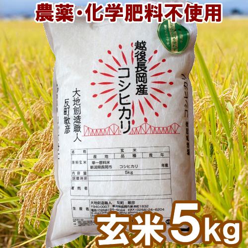 無農薬・化学肥料不使用　玄米 5kg　大地創造職人