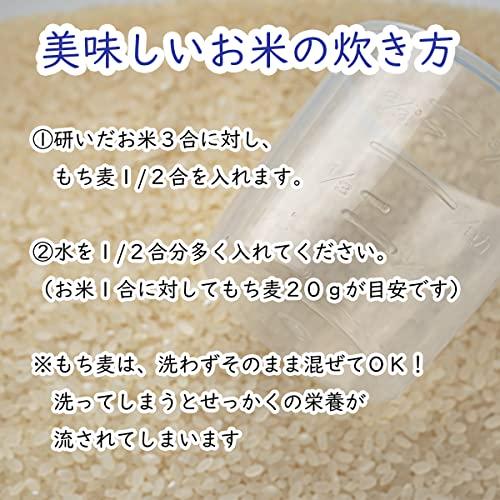 もち麦 800g 佐賀県産 紫もち麦 ダイシモチ ミヤハラ農園