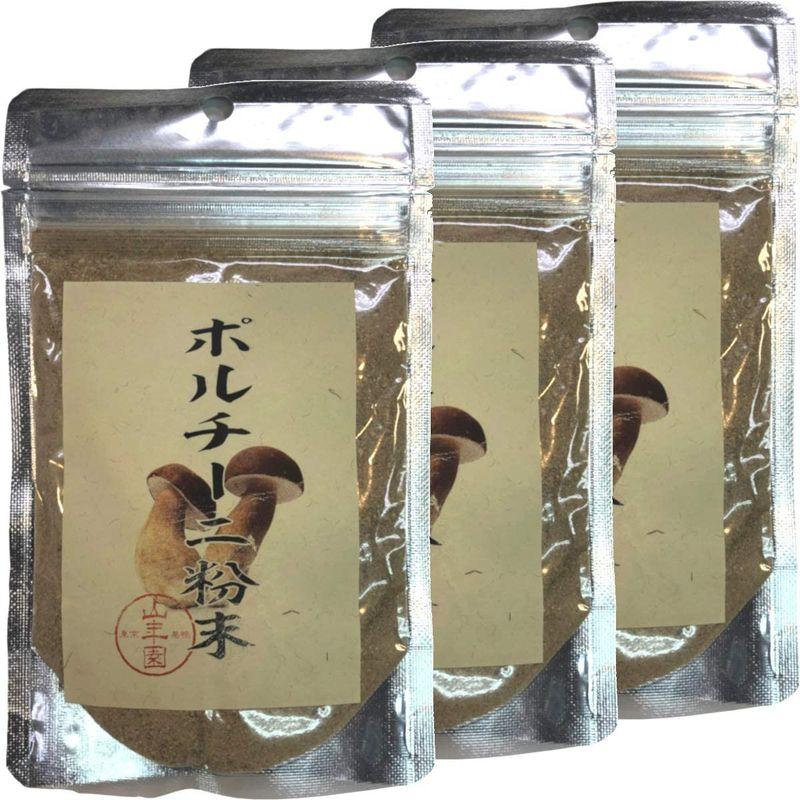 本場イタリア産無農薬100% ポルチーニ茸の粉末 40g×3袋セット 巣鴨のお茶屋さん 山年園