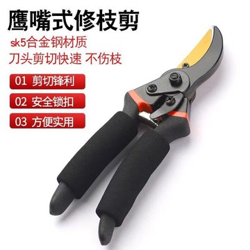 臺灣出貨🔥 果樹剪 園藝剪 花枝剪 修枝剪 採果剪 園藝剪刀批髮果樹修枝剪園林粗枝剪樹枝用的剪刀花藝修枝剪摘果剪