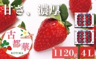 平群の古都華 いちご 4Lサイズ （2パック×2ケース） 計4パック 辻本農園 2024年3月発送