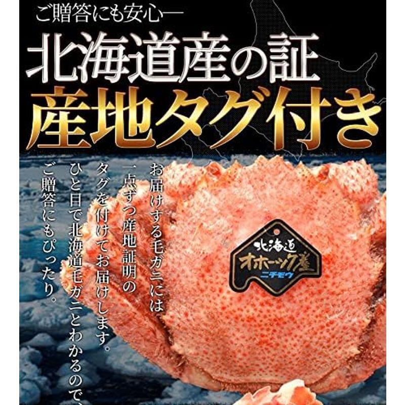 毛ガニ 姿 ボイル ２尾 約１ｋｇ（約５００ｇ×２杯） (通常梱包) 北海道 ブランドタグ付 毛蟹 毛がに 冷凍 蟹 かにみそ 海鮮