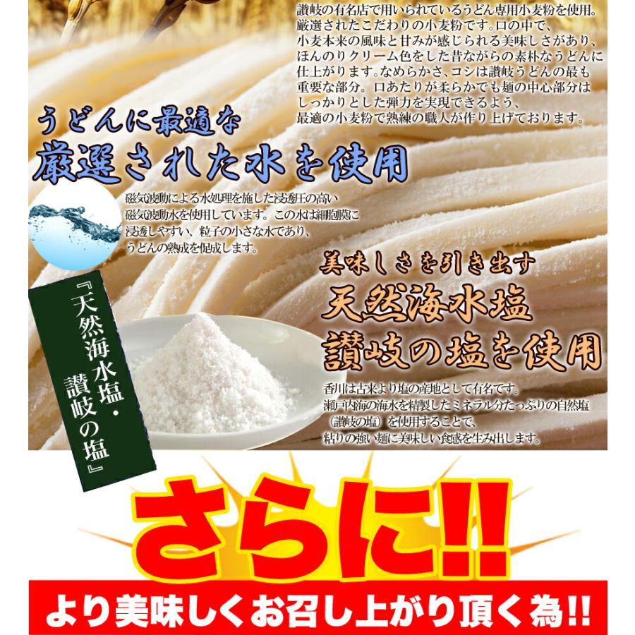 10％OFFクーポン配布中 生うどん 鎌田醤油特製ダシ醤油6袋付き!!讃岐うどん6食分600g（300g×2袋） 讃岐うどん つゆ付き 生うどん 産地直送