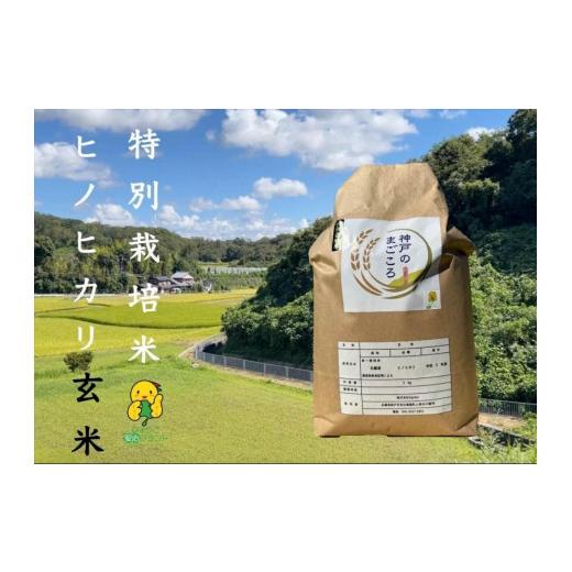 ふるさと納税 兵庫県 神戸市 特別栽培米　神戸のまごころ　ヒノヒカリ 玄米 5kg
