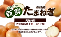 新鮮採れたて綾川町産 たまねぎサイズ混合約5kg