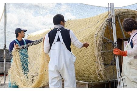 海苔漁師が作る極上の佃煮！海苔師の生のり佃煮〈極〉とバラエティ海苔セット〈LL〉 詰合せ ごはんのお供 セット 生海苔 海苔 のり 佃煮 味付海苔 焼き海苔 海産物 広島県 福山市 F23L-610