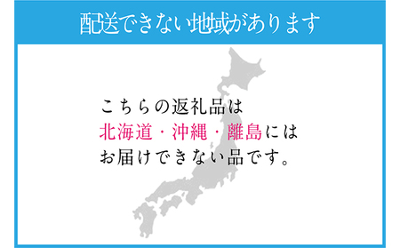 ぶどう 2024年 先行予約 シャイン マスカット 晴王 1房 約600g ブドウ 葡萄  岡山県産 国産 フルーツ 果物 ギフト