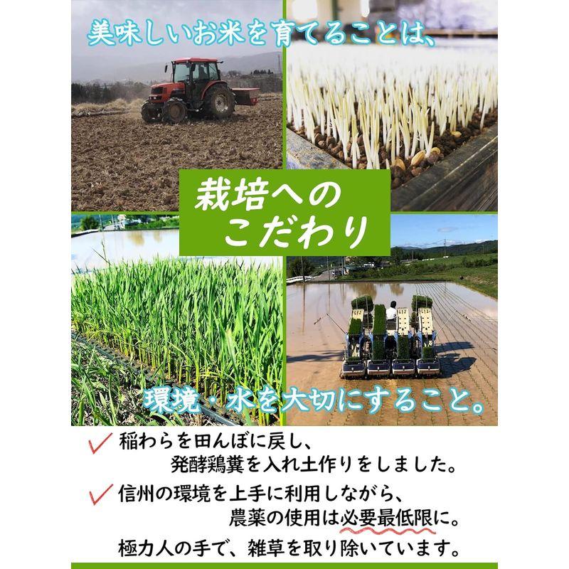 玄米 信州産 こしひかり 20kg（5kg×4） 令和4年産 米 お米 コメ 長野県 信州ファーム荻原 低温倉庫 保存