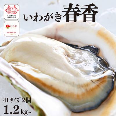 ふるさと納税 海士町 いわがき春香 計1.2gk〜1.6kg 巨大4Lサイズ2個 生食可能 CAS冷凍 牡蠣 岩牡蠣 かき