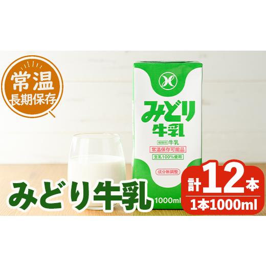 ふるさと納税 大分県 佐伯市 みどり牛乳(1000ml×12本)