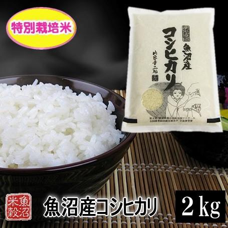 新米 コシヒカリ　魚沼産コシヒカリ特別栽培米（令和5年産）　白米　2kg 