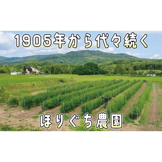 ふるさと納税 北海道 赤平市 アスパラ 北海道 朝もぎ 春グリーンアスパラ 約1kg［ほりぐち農園］ ※2024年4月中旬出荷開始先行予約