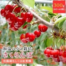 4月出荷のハウスさくらんぼ(佐藤錦もしくは紅秀峰)化粧箱(300g)