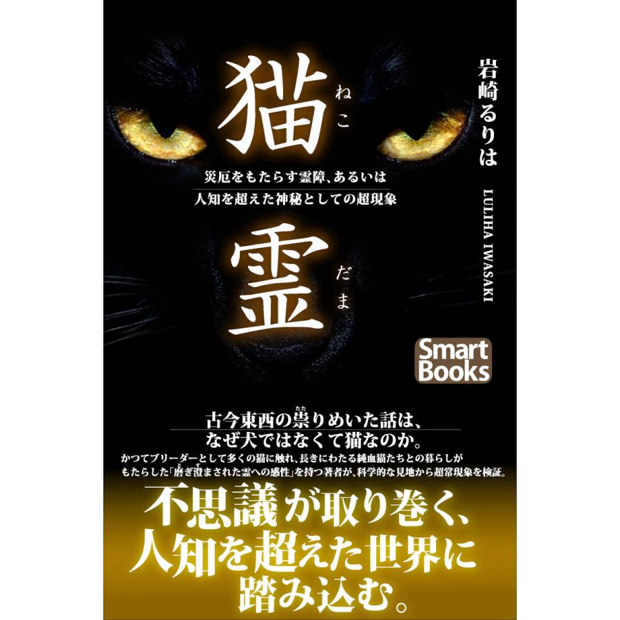 猫霊 災厄をもたらす霊障、あるいは人知を超えた神秘としての超現象 電子書籍版   著:岩崎るりは