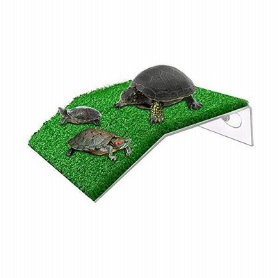 爬虫類 亀 かめ 浮き島 水槽台 ドック浮動 カメ桟橋 亀の日なたぼっこ台 水槽 60cm用 日光浴 水族館 吸盤 位置調整可 人工緑芝 落下しにくい 通販 Lineポイント最大get Lineショッピング