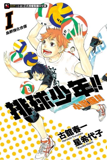 排球少年!!（1）：烏野強化合宿（小說版）[二手書_全新]