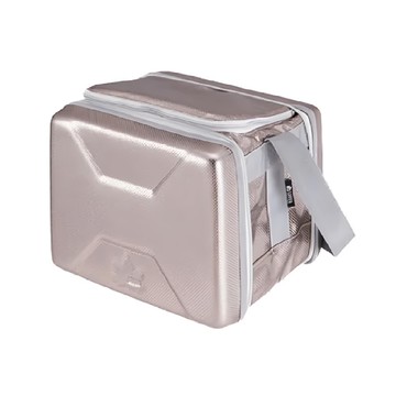 LOGOS 斷熱海霸超凍箱  尺寸約 27.5x23x21.5cm  容量 6.5L  銀色