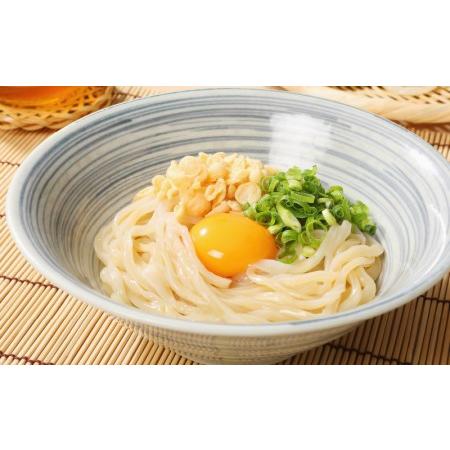 ふるさと納税 ＜養生麺セット 12個入り＞ K10_0003_1 宮崎県木城町