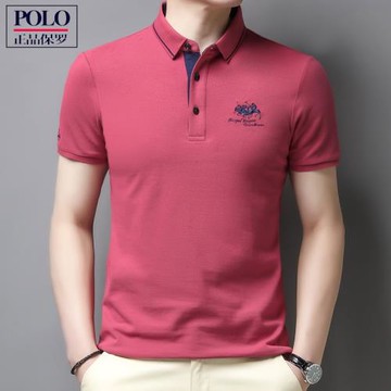 新款保羅Polo衫男士短袖T恤 商務休閑翻領寬松高檔純棉半袖男體恤
