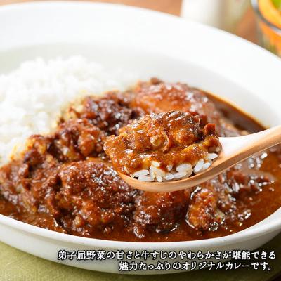 ふるさと納税 弟子屈町 弟子屈牛すじカレー(中辛) 2個 777