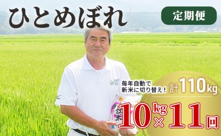 〈定期便〉 ひとめぼれ 白米 10kg（5kg×2袋）×11回 計110kg 11ヶ月 令和5年 精米 土づくり実証米 毎年11月より 新米 出荷