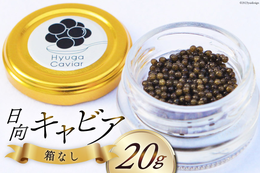 日向キャビア(Hyuga Caviar) 20g(冷凍・フレッシュキャビア) [宮崎キャビア 宮崎県 日向市 452060323]