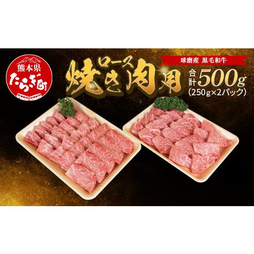 ふるさと納税 熊本県 多良木町 球磨産 黒毛和牛 ロース 焼き肉用 500g（250g×2パック） サーロイン スライス【 小分け 牛肉 ロース 和…