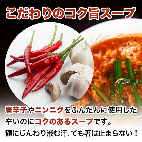 激辛 麺 店の味 宮崎新名物 辛麺屋 輪 辛麺2人前 こだわりのコク旨ピリ辛スープ 麺 お取り寄せ グルメ 食品 ポッキリ ラーメン セール 送料無料 麺類