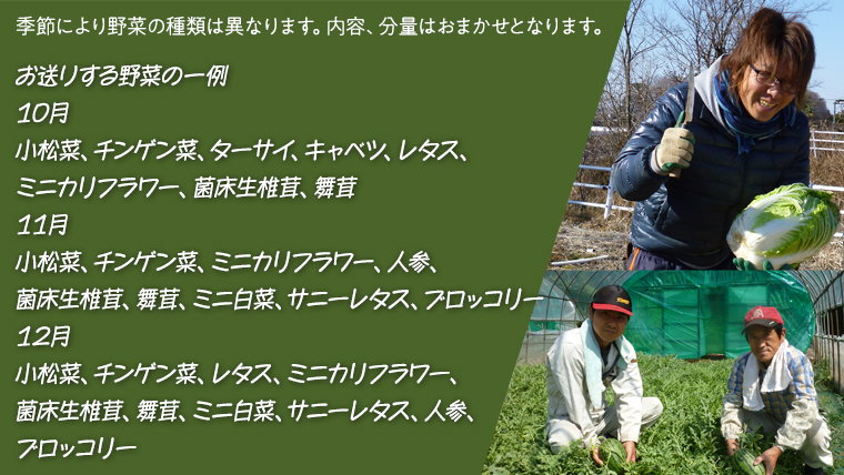  産地直送 ！ 旬 の 産直 野菜 セット 詰め合わせ BOX 新鮮 詰合せ つめあわせ 直送 茨城 茨城県 おまかせ [CN001ya]