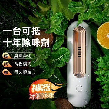 隔日達🔥冰箱除味器  USB充電冰箱除味機 除味凈化器 保鮮去味機 冰箱除味消毒器 衣櫥防黴 鞋櫃除臭 車用 臭氧殺菌