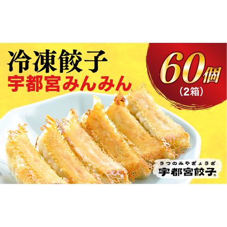 ふるさと納税 　餃子30個入り×2箱 栃木県宇都宮市