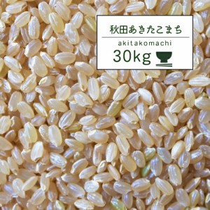 新米 米 30kg 秋田こまち 5年産 秋田県産 あきたこまち 玄米30kg 秋田こまち